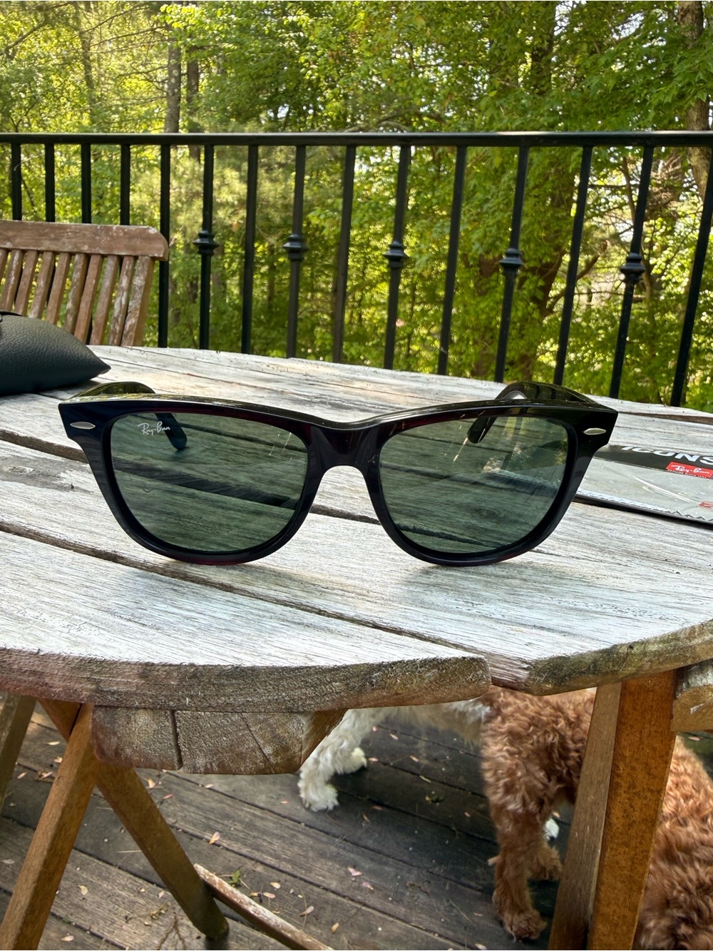Ray-Ban Black Frame Sunglasses with Dark Green Lenses
